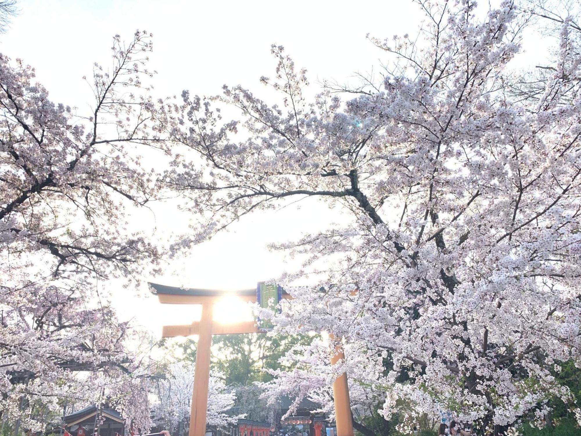 Kyounoyado Hana Nishijin - Kimono No Yado Kioto Exterior foto